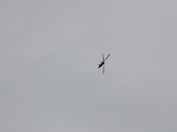 IMG 7712  -->