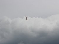 IMG 7735  -->