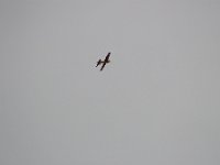 IMG 7761  -->