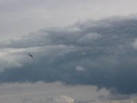 IMG 7820  -->