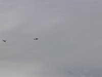 IMG 7828  -->